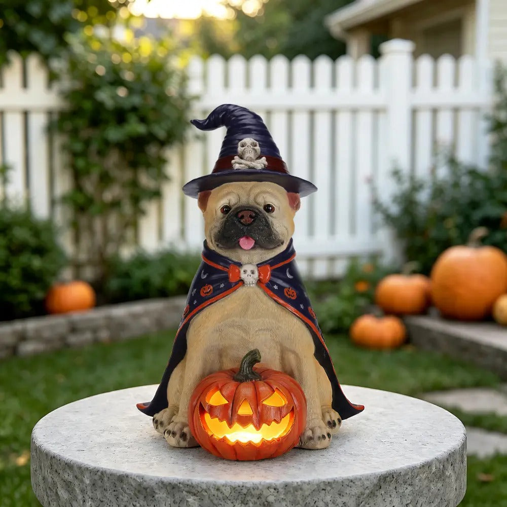 Halloween Bulldog Witch Statue, LED Light Up Jack-O-Lantern Pumpkin Decor for Home Tabletop